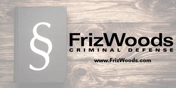 FrizWoods Banner